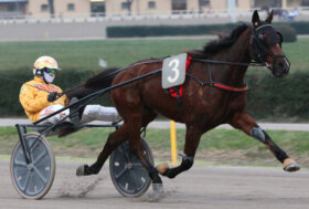 Arcoveggio Bologna: corse di giovedì 23 febbraio. Riapertura Ippodromo di Bologna