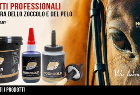 SALDI: 12% Extra Sconto con Tessera Premium | 10% Extra Sconto per tutti codice SALDI23