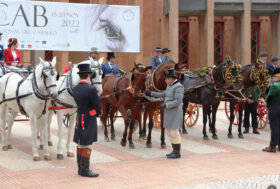 Attacchi: lezioni di Coaching