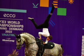 Successi azzurri nel ‘CVI Hungary’ di Budapest