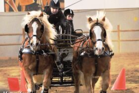 Si ricomincia con lo Sport Attacchi