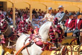 Attacchi: Guarniciòn Calesera