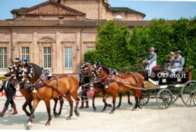 VENARIA REALE: sempre una meraviglia!
