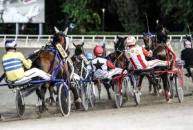 Ippodromo di Cesena: martedì 17 giugno, Ouverture con cadetti e free for all dalle 21:00