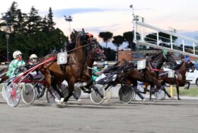 Ippodromo Cesena Trotto: presentazione corse di martedì 25 luglio