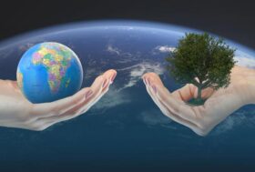 Il peggiore nemico della sostenibilità: l’indifferenza