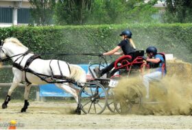 Attacchi: Atmosfera di Festa