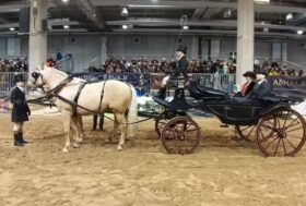 Un successo la partecipazione GIA in Fieracavalli