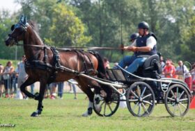 Sport Attacchi a tutto campo
