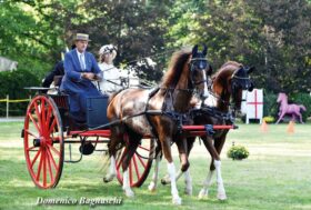 Attacchi: Consigli dai Giudici