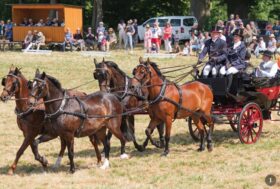 Attacchi: Bellezza e Armonia