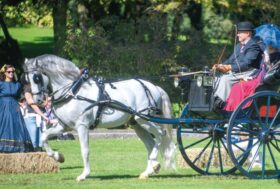 Attacchi: Un magico “Viaggio nel Tempo!”