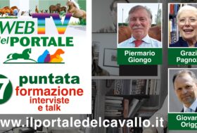 Rivedi subito la 17° puntata della WebTV