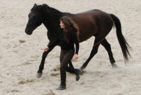 Il movimento funziona come un linguaggio tra uomo e cavallo