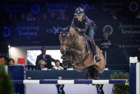 Sport equestri e Diritto: a Bologna convegno sul “Cavallo-atleta”
