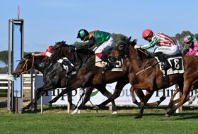 Capannelle: Domenica Italian Guineas Day, con il Parioli e il Regina Elena. E nel weekend i Japan Days