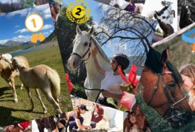 Ecco le fotografie vincitrici del concorso fotografico organizzato dal Portale del Cavallo