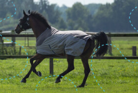 Scegli la Rete Giusta contro gli insetti per uno scudo efficace ma leggero!