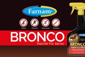 Bronco, l’insettorepellente che mancava