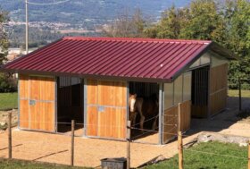 Tenere un cavallo a casa. I suggerimenti di Nord Piave