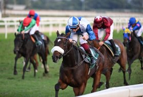 Weekend di grande ippica a Capannelle: Sabato 20 le batterie del 98° Derby Italiano del Trotto e delle Oaks. Domenica 21 al galoppo con il LIsted Race Day e la cavalla di Allegri Sun Never Sets