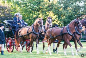 Attacchi: “La Lodovica” brilla di Eleganza