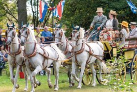 Voglia di Tradizione: Quando Carrozze e Cavalli sono di “casa”