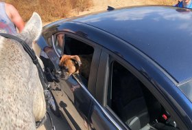 Alessandra Deerinck: Uomo e Cavallo. Come affrontare le novità