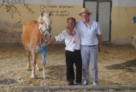 Le manifestazioni ANACRHAI in Basilicata: un successo per la promozione della razza Haflinger