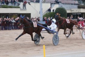 Arcoveggio: vincitori classici e ottimi puledri protagonisti giovedì 27 novembre.