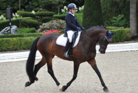 Matteo Borghesi in evidenza a Sint-Truiden