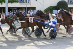 Giovedì, all’ippodromo di Bologna il Premio Alma e Renzo Maccaferri, in chiusura la TQQ