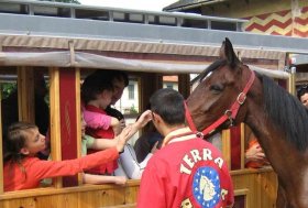 Ippodromo Arcoveggio riconosciuto tra i luoghi simbolo dello sport di Bologna