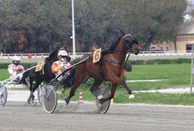 Ippodromo di Bologna: giovedì 17 aprile, otto corse di qualità con Atik Dl atteso nel clou