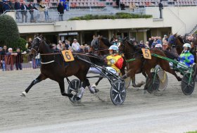 Arcoveggio: domenica otto corse in programma “PREMIO CALAVERA”