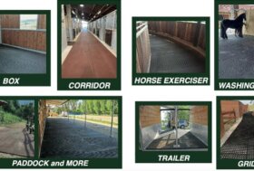 Settembre è tempo di ripartire, dedica particolare attenzione al benessere del tuo cavallo, inizia dal comfort dei BOX