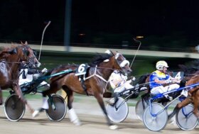 Ippica, solidarietà e divertimento per tutta la famiglia