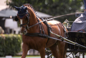 Attacchi protagonisti a Padova con il Campionato Italiano Combinata e la Coppa delle Regioni
