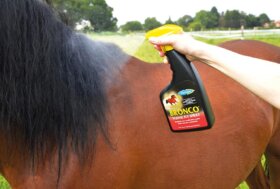 Arriva il Caldo! Pronto alla Lotta contro gli Insetti? Usa lo Sconto Extra!