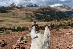 Natura a Cavallo: un trekking con i cavalli Haflinger lì dove sono nati