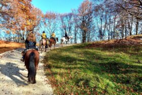 Turismo lento e cultura del cavallo: Fieracavalli on tourarriva a Ferrara di Monte Baldo