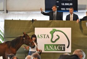 Grande successo di iscrizioni al programma Anact Stakes Plus+