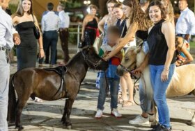 Ippodromo Federico Caprilli giornata di corse di giovedì