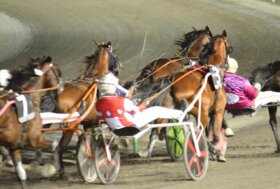 Montegiorgio, una serata di emozioni: il trotto torna protagonista con la 18ª giornata all’ippodromo San Paolo