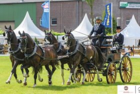 Attacchi: Si riparte da Kladruby