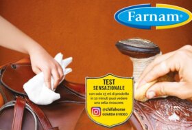 Best productsfor saddlery’s care