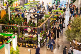 Myplant: florovivaismo italiano: record produzione (3,25 miliardi €) nel 2024.