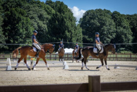Scienze Motorie e Sportive Università del Foro Italico: via al nuovo bando per il corso di laurea dedicato ai tesserati FISE