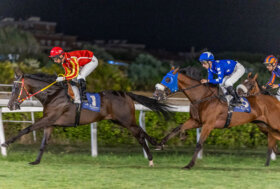 Ippodromo Caprilli: presentazione giornata di corse di venerdì 29 agosto