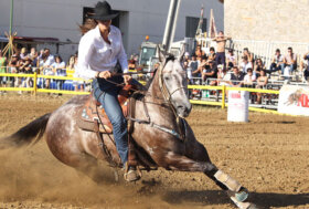 55^ Mostra Nazionale del Cavallo di Città di Castello